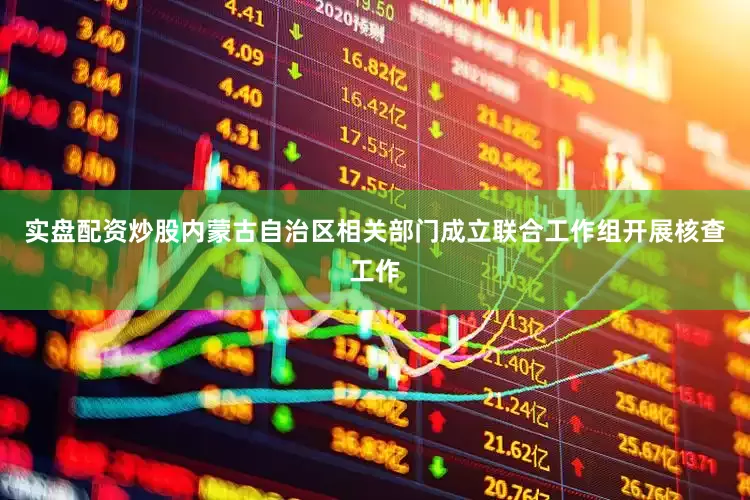 实盘配资炒股内蒙古自治区相关部门成立联合工作组开展核查工作
